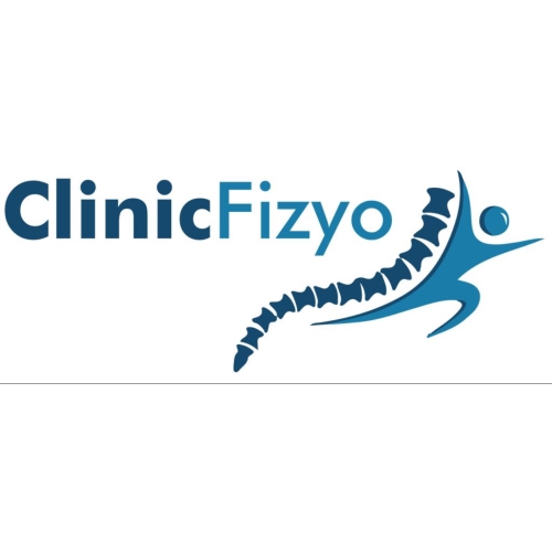 Fizyoterapist