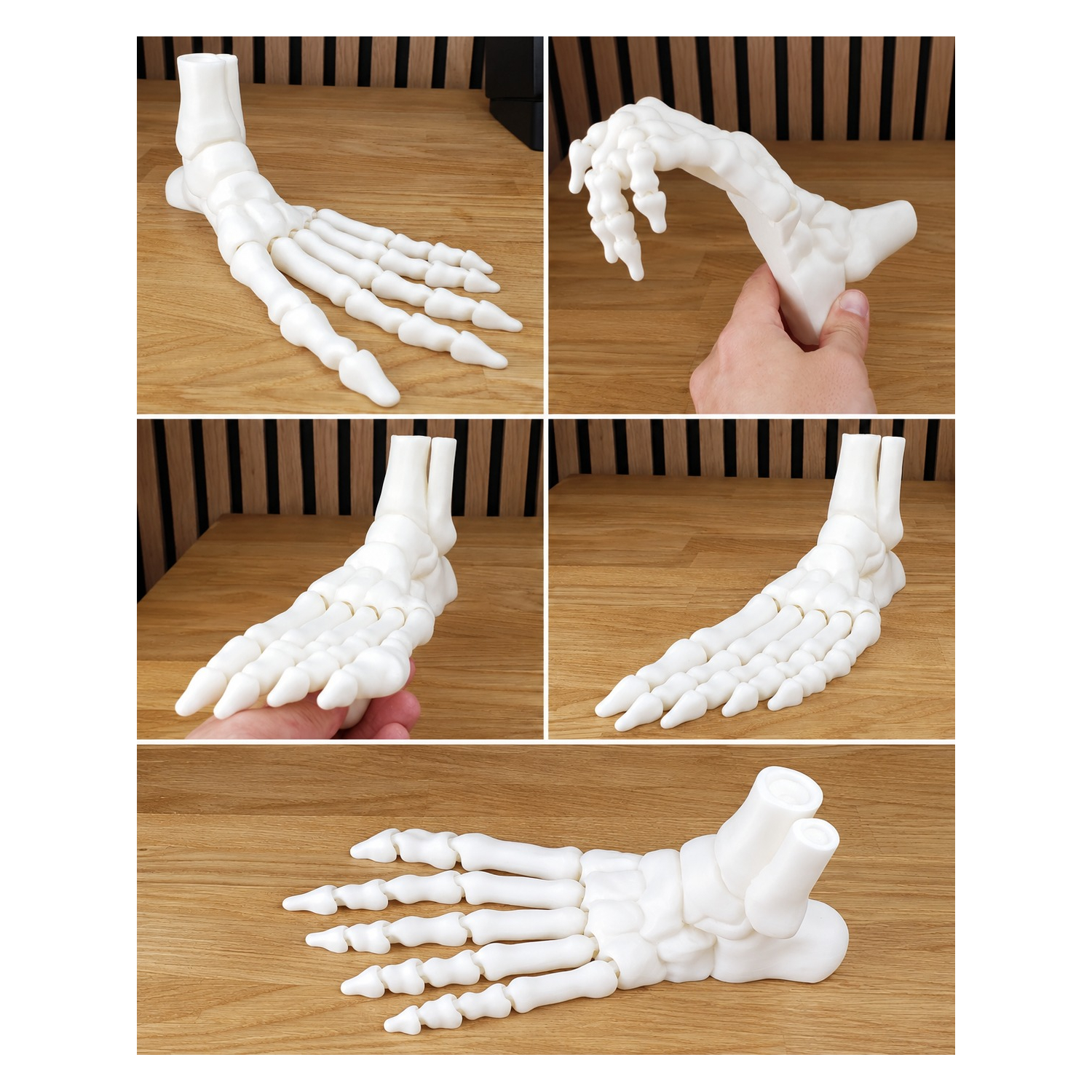 3D ANATOMİK AYAK MODELİ