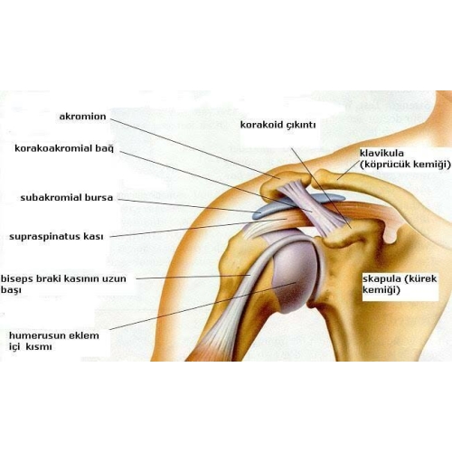 Fizyoterapist İsmail Samuk